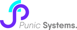 Punic Systems